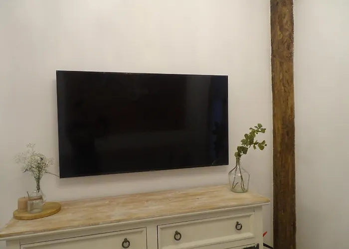 El Patio Del Museo *