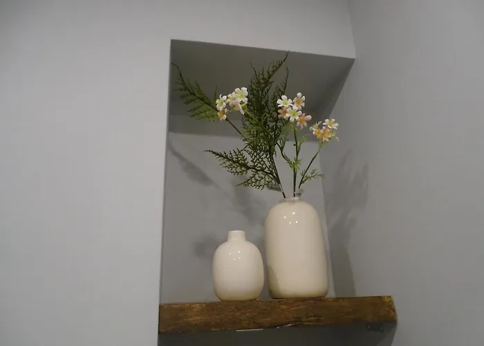 El Patio Del Museo *