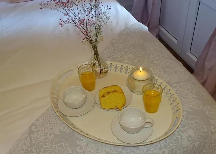 El Patio Del Museo *