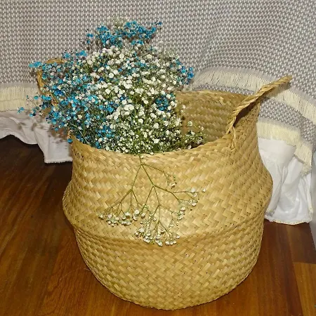 El Patio Del Museo *