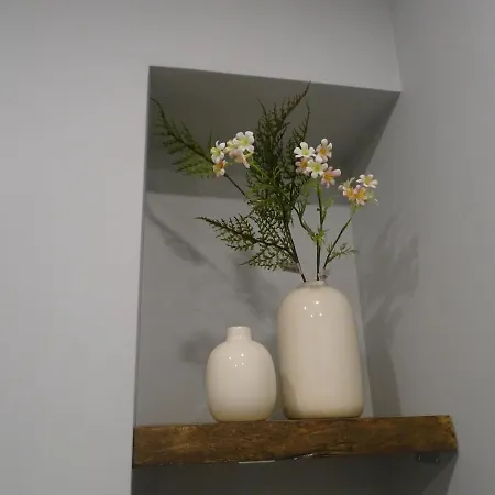 El Patio Del Museo *